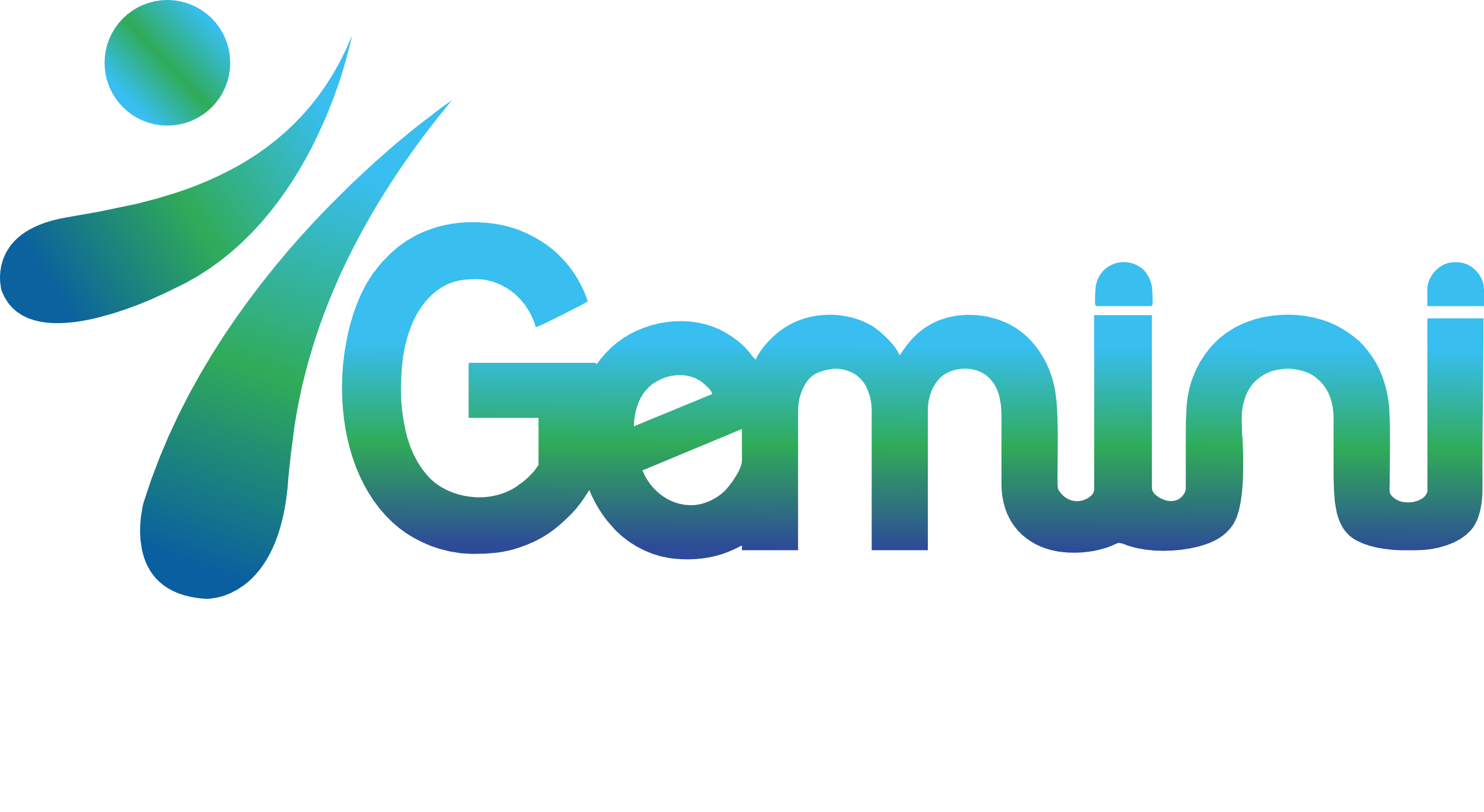 Gemini Associates - Fine & Specialty Chemicals